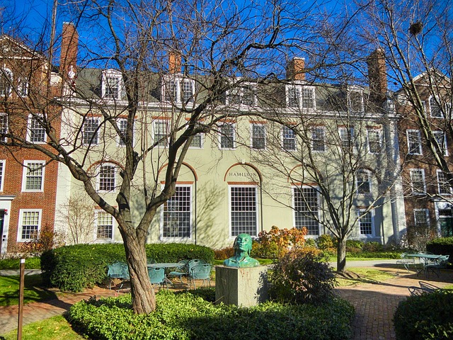 harvard univerzita